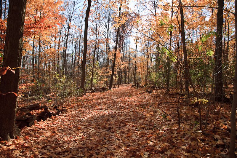 20091102-_MG_2442.jpg