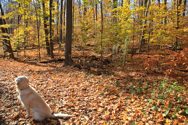 20091102-_MG_2445.jpg