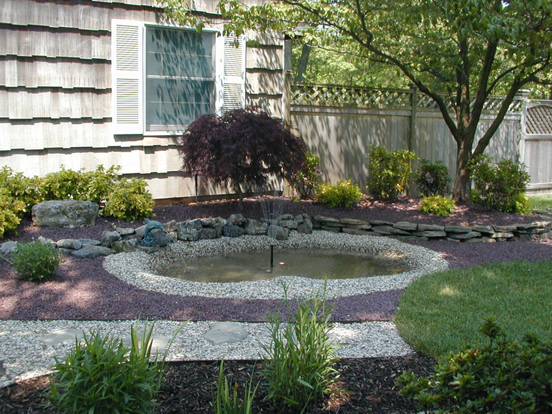 DSCN00700.jpg