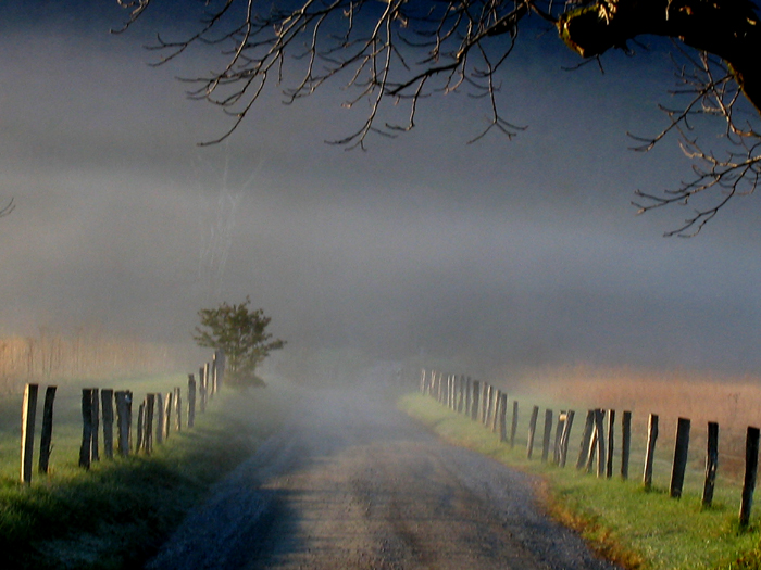 IMG_5655crop2editir.jpg