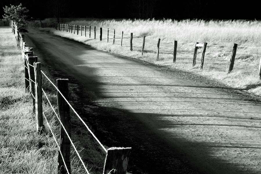 Sparks Lane