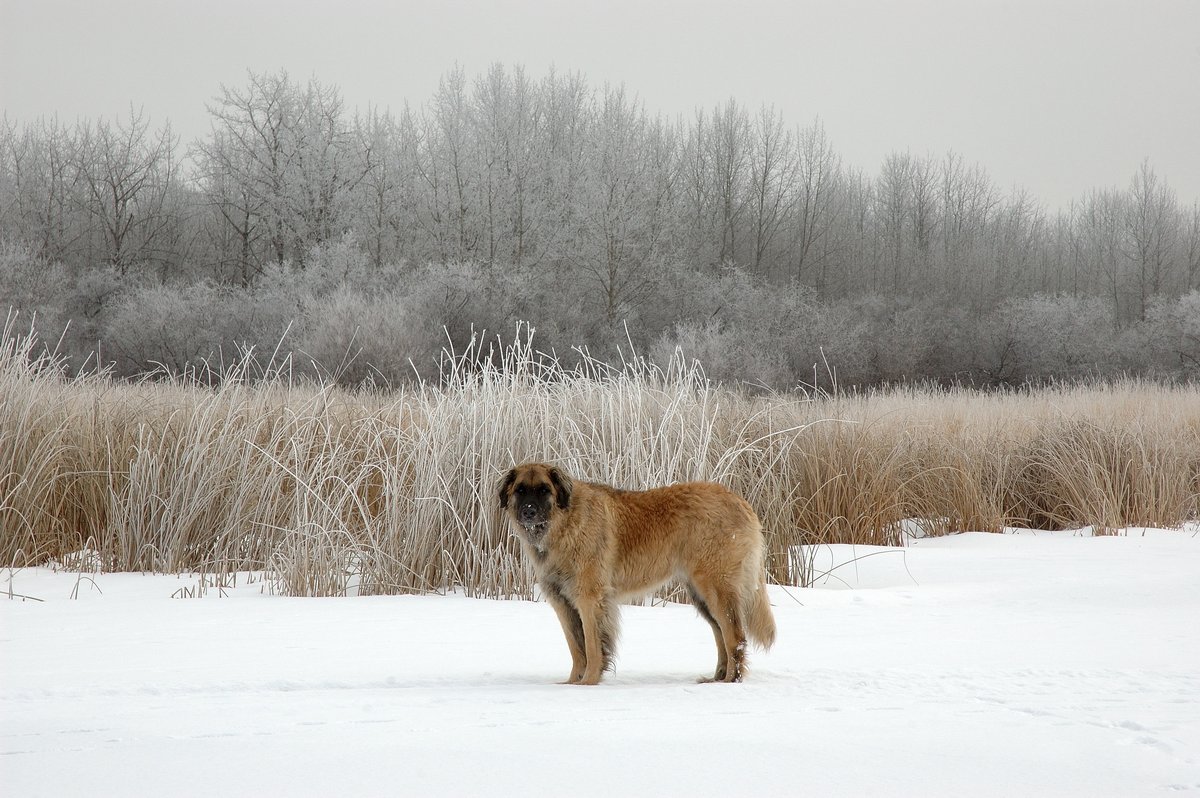 DSC_9668.jpg
