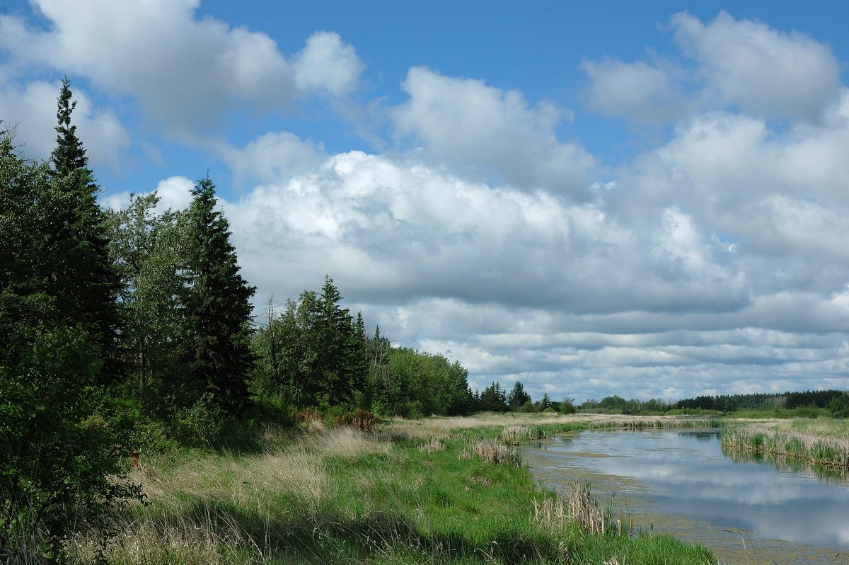 DSC_1445.jpg