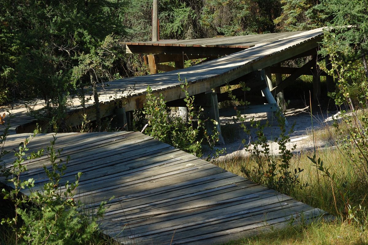 DSC_2506.jpg