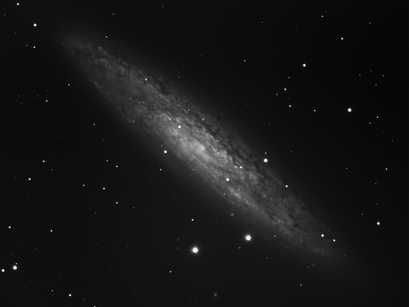 NGC 253 - The Sculptor Galaxy 07-Nov-2010