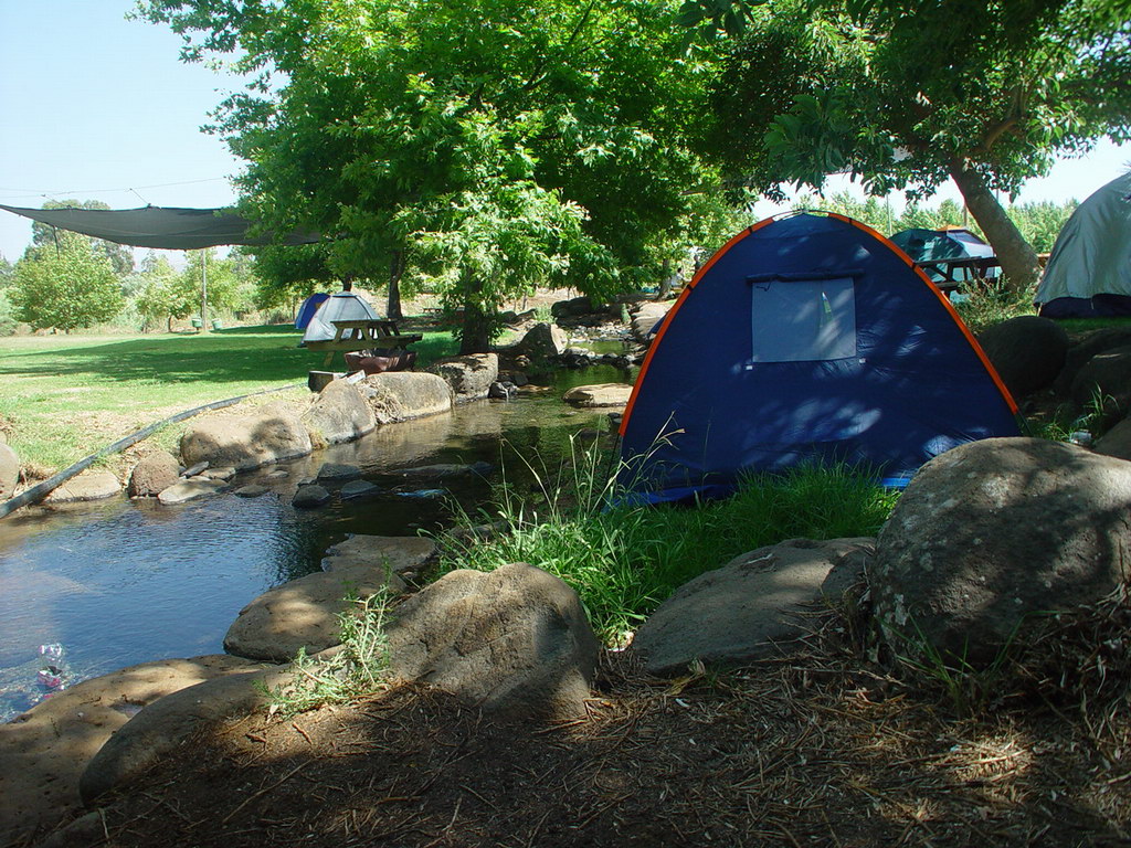 DSC08418.JPG