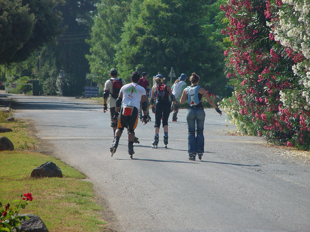 DSC08706.JPG