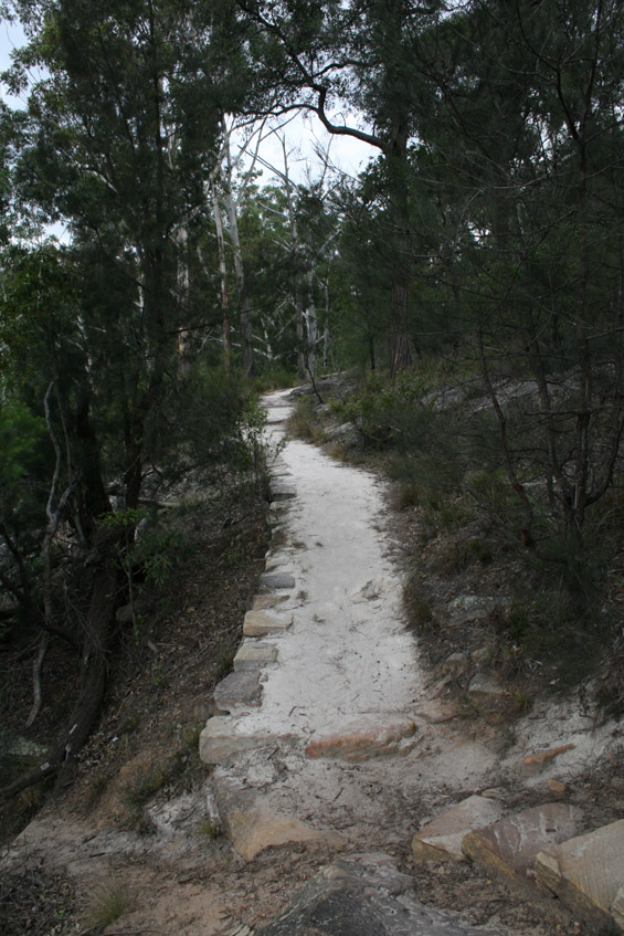Lake Bush track..
