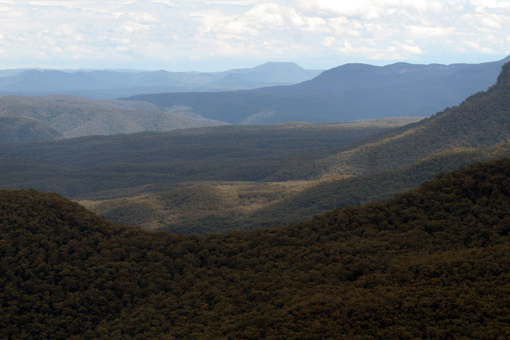 The Kings Plateau