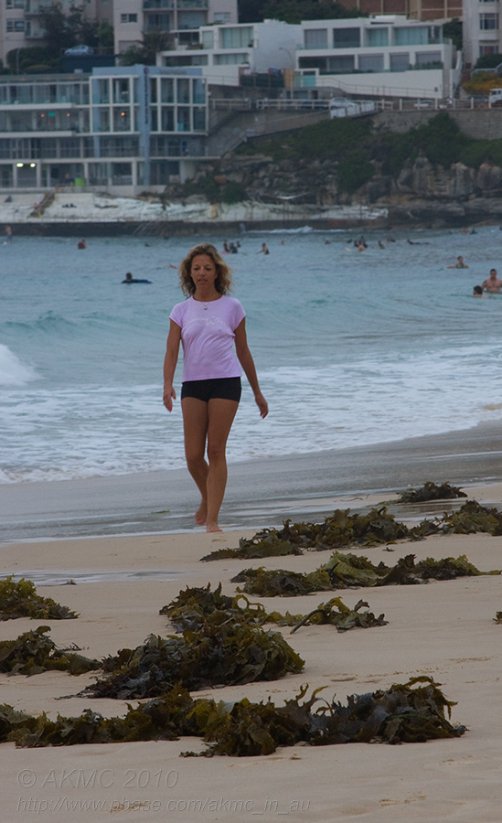 100126_063901_4861 Stroll Amongst The Seaweed