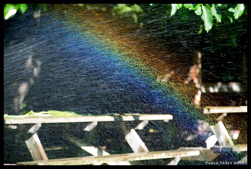 Pocket Rainbow