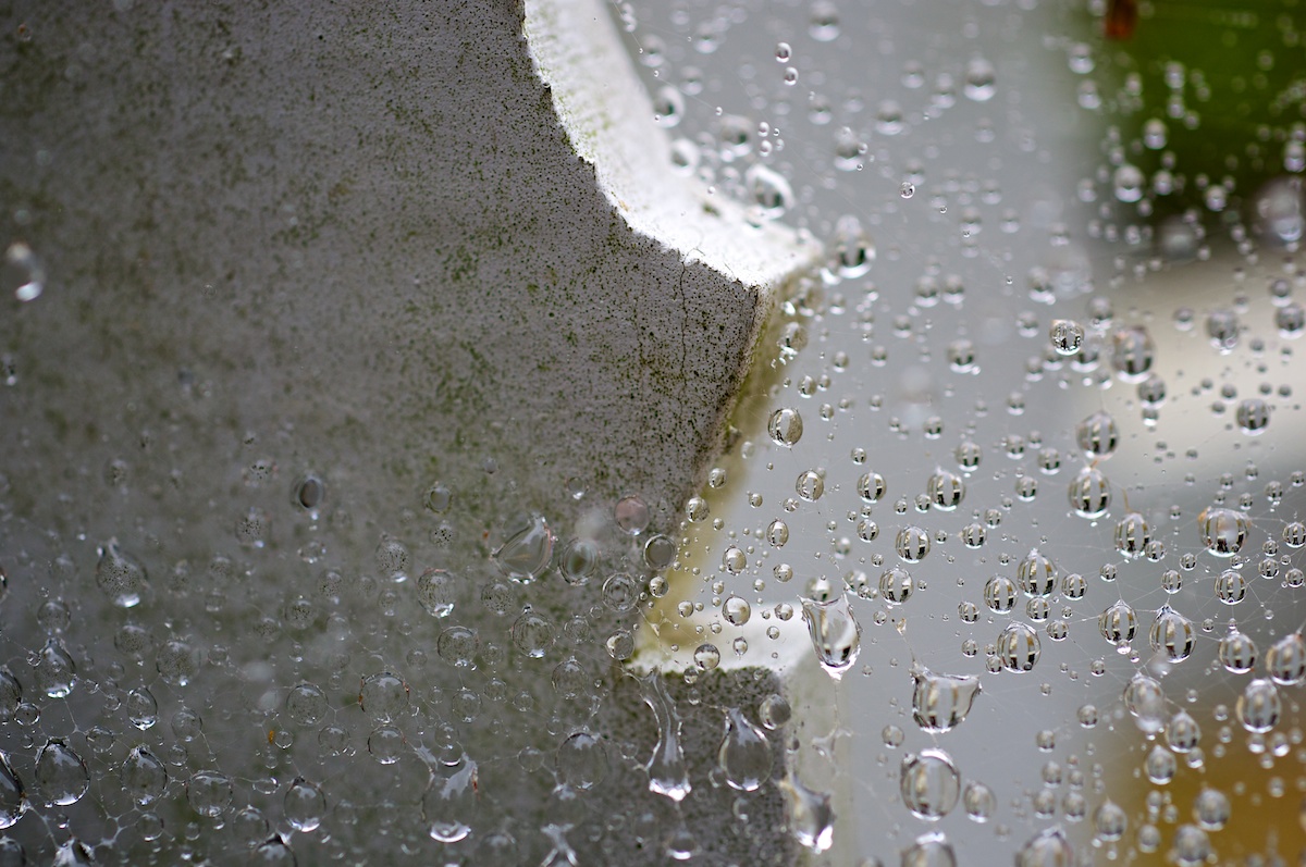 Rain, Finally!!
