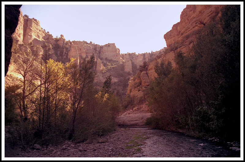 Arivaipa Canyon Trees and Creek.