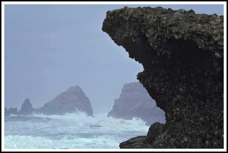 Conglomerates of the Carmelo Formation (near Carmel)