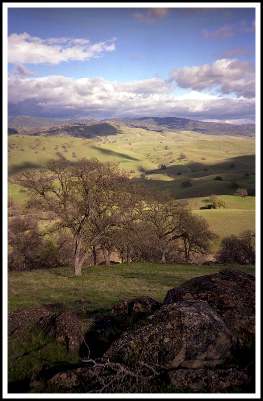 Near Mariposa County