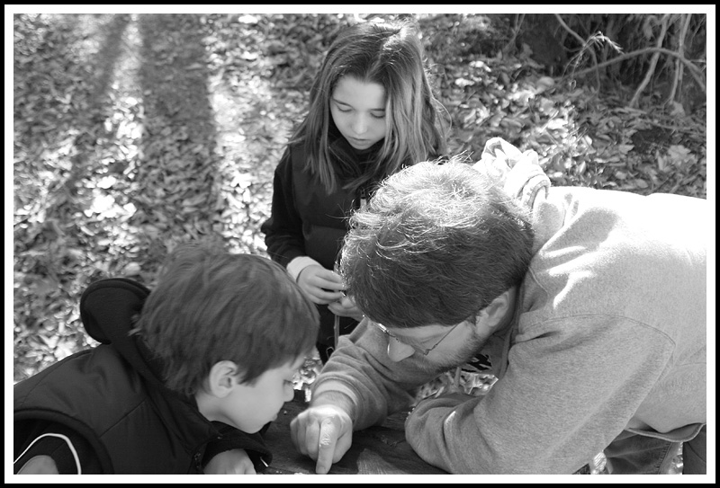 Counting Tree Rings