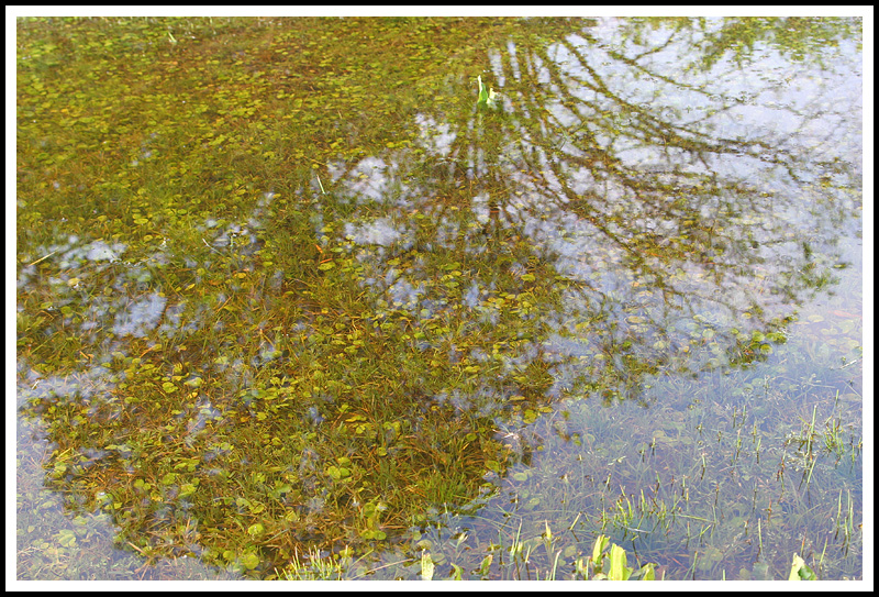 Reflection