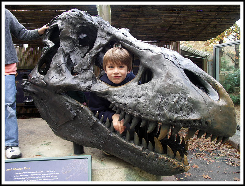 In the Jaws of the Beast