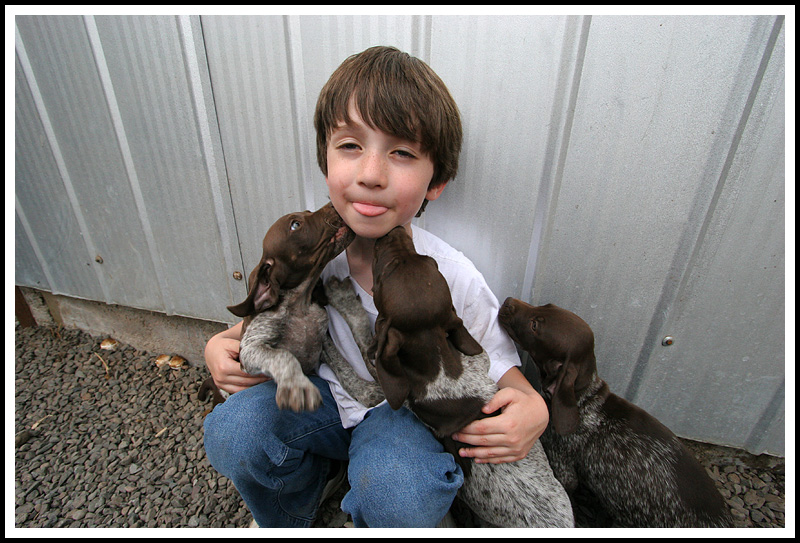 Licky Pups/Boy
