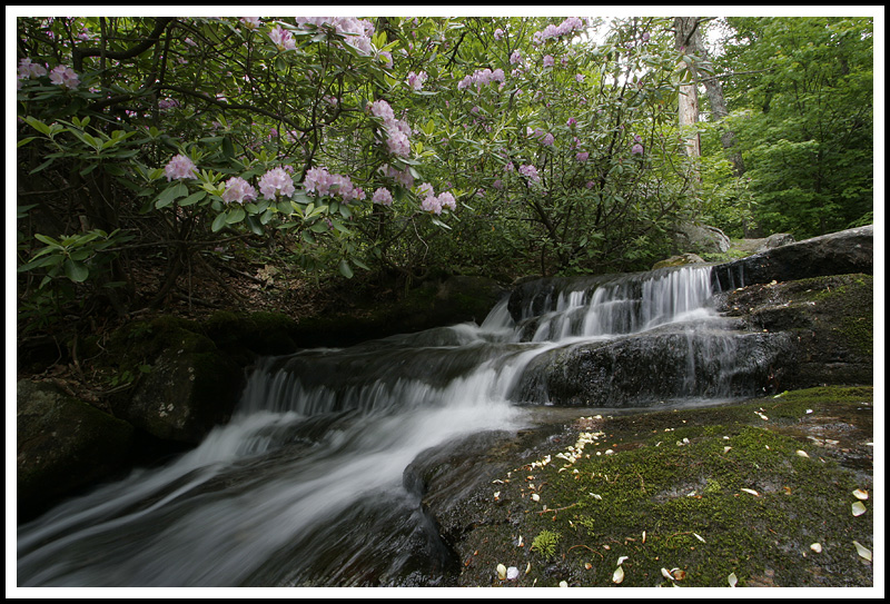 Crabtree Falls
