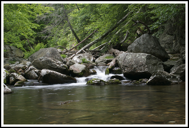 Crabtree Creek (below falls)