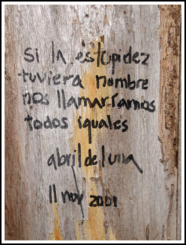 Graffitti on Nerudas Fence