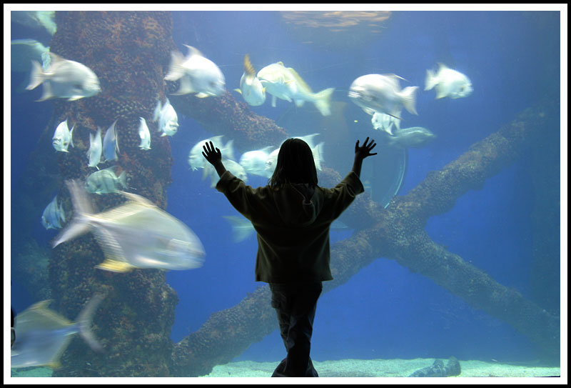 Underwater I