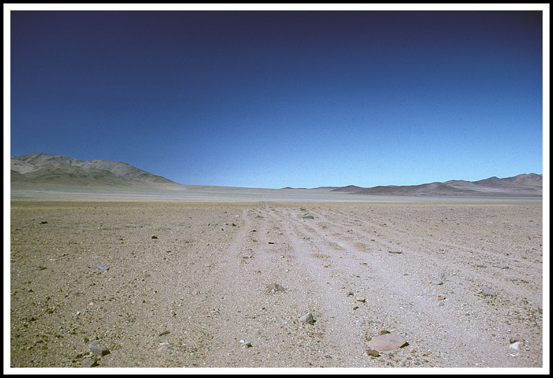 Tracks of the Inca Road