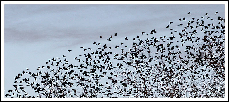Flight
