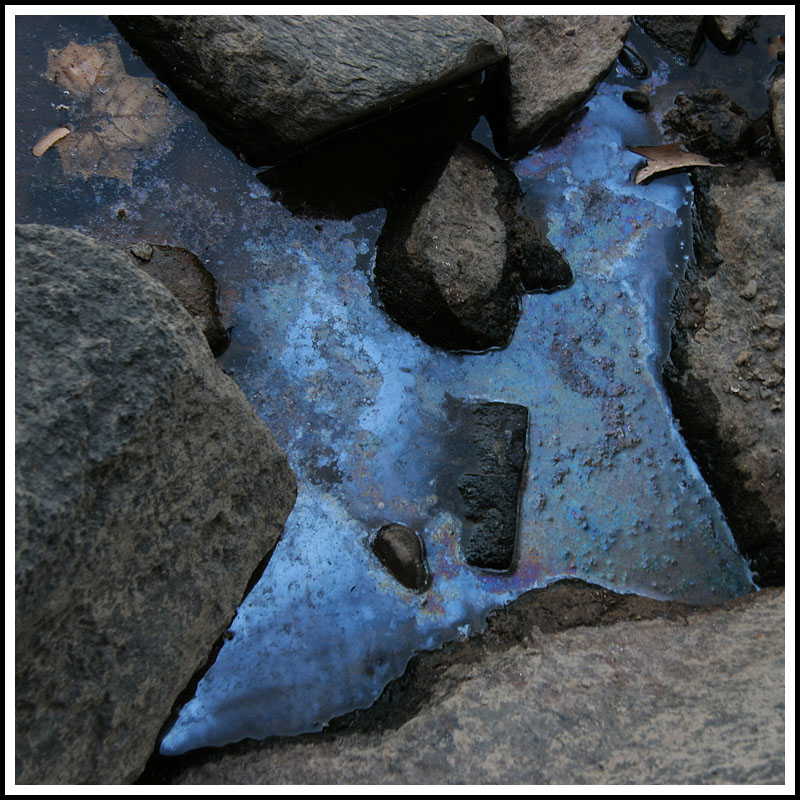 Backwater / Blackwater I