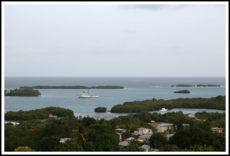 Parguera and Islands II
