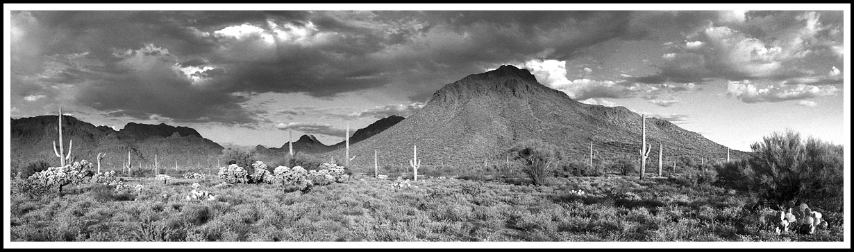 Infrared Desert
