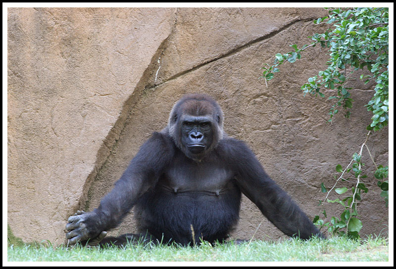Grouchy