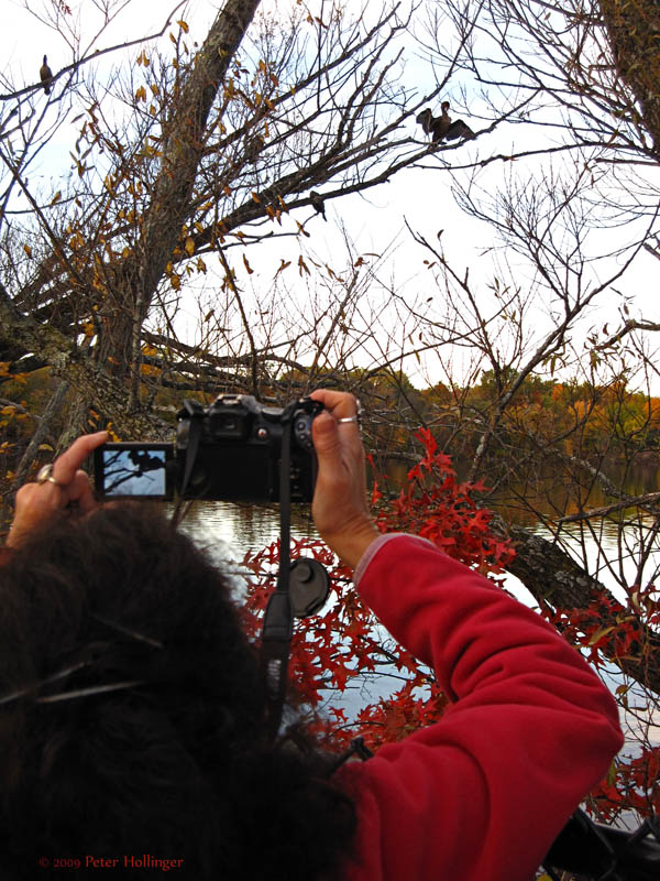 Donna Photographing Cormorants