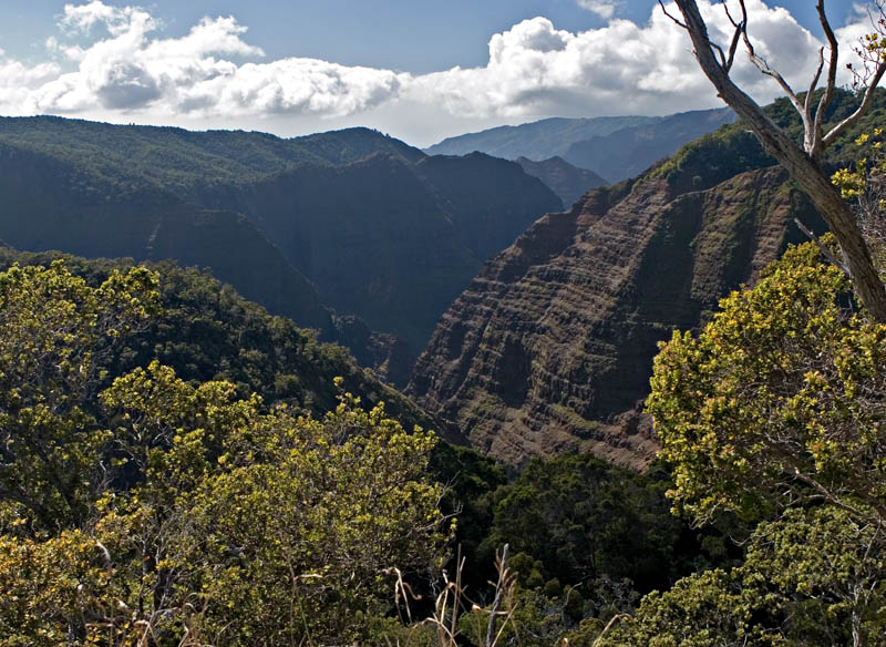 Waimea Canyon