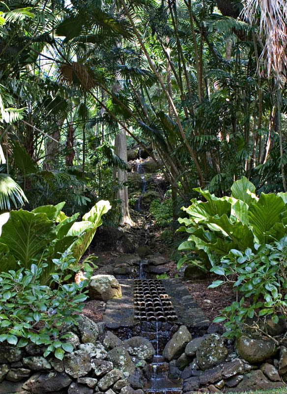 Jungle Fountain