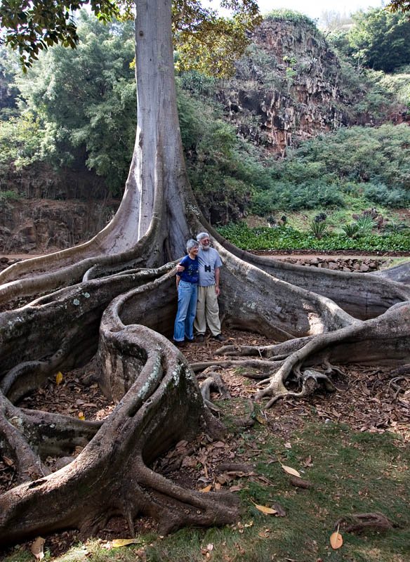 Ann  & Yak with Ficus
