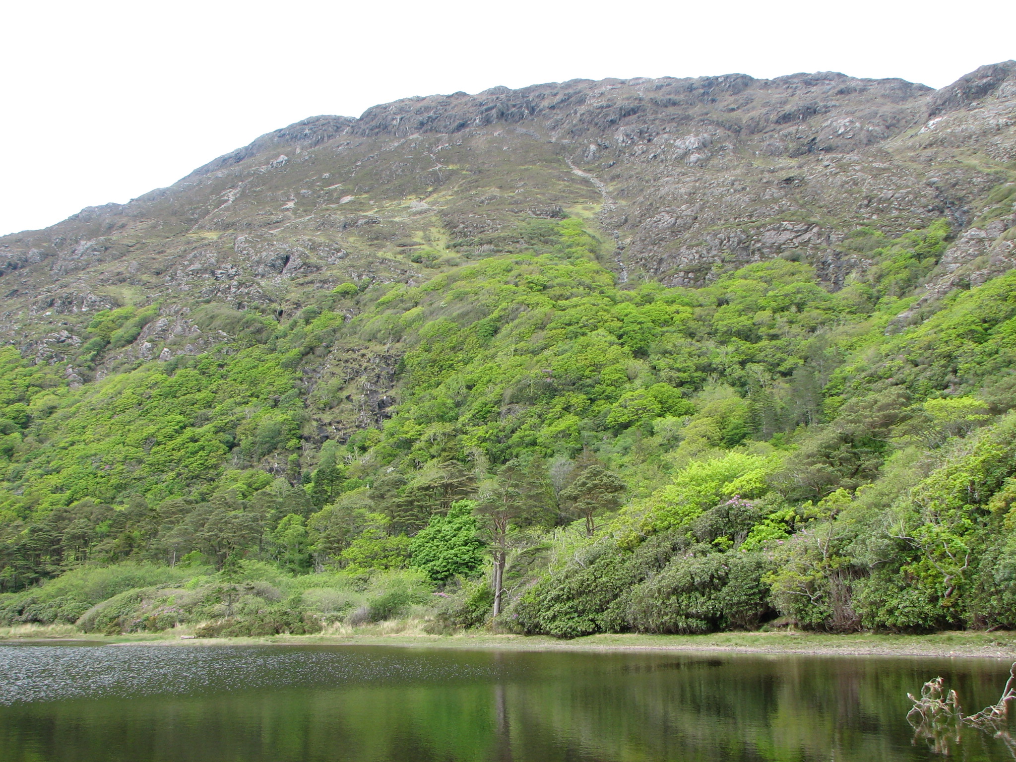 Kylemore Abbey grounds