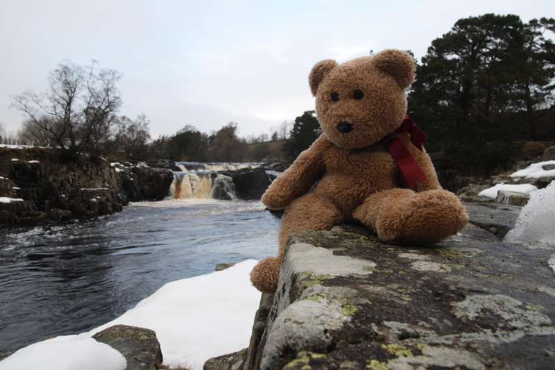 Low Force
