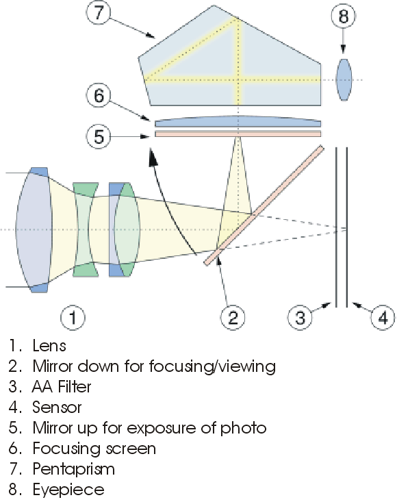 Camera Cross Section-2.gif