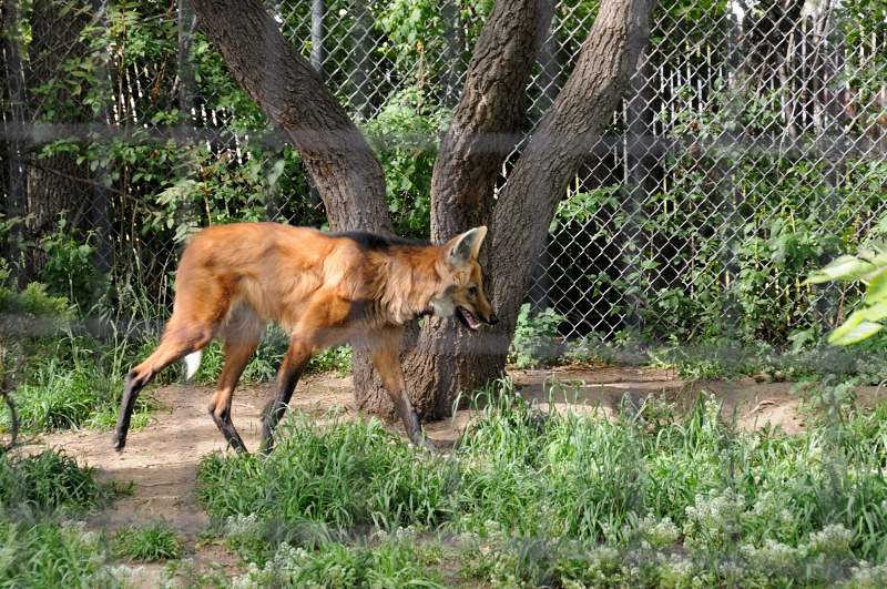 DSC_9155.JPG