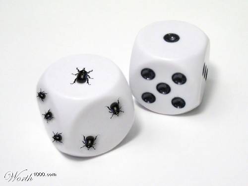 dice