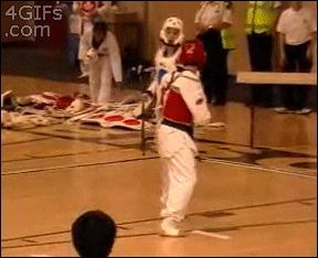 Spinning-heel-kick-KO.gif