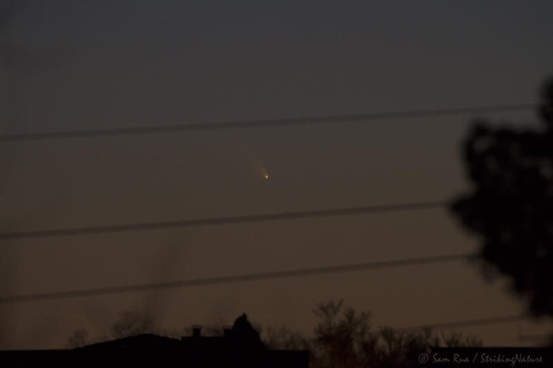 Comet PanSTARRS (C/2011 L4)