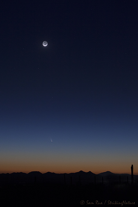 Comet PanSTARRS (C/2011 L4)