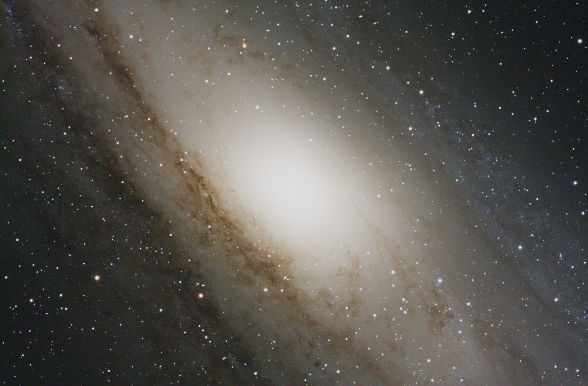 processor in m31
