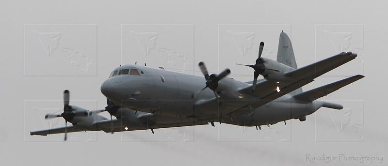 DFA_8899