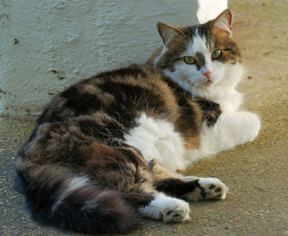Monty 03.jpg