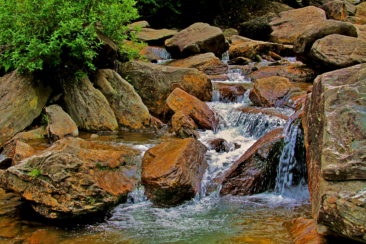 Pisca National Forest, Graveyard Fields Brook