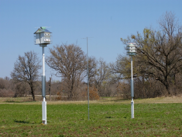 martin site 2.BMP